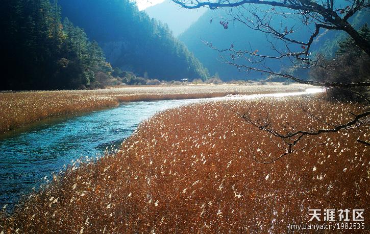 奇迹峨眉攻略:[攻略指南]11月底成都九寨沟峨眉山乐山大佛自游行实用攻略